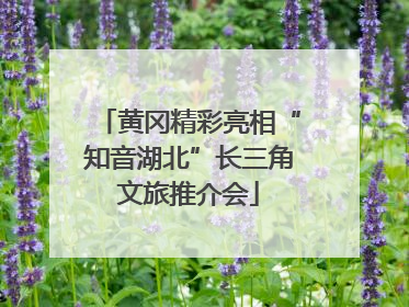 黄冈精彩亮相“知音湖北”长三角文旅推介会