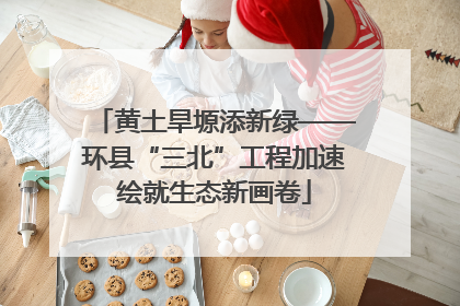 黄土旱塬添新绿——环县“三北”工程加速绘就生态新画卷