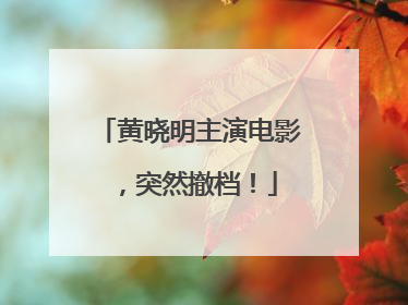 黄晓明主演电影，突然撤档！