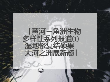 黄河三角洲生物多样性系列报道①湿地修复结硕果 大河之洲展新颜
