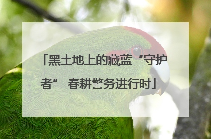 黑土地上的藏蓝“守护者” 春耕警务进行时