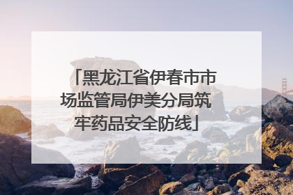 黑龙江省伊春市市场监管局伊美分局筑牢药品安全防线