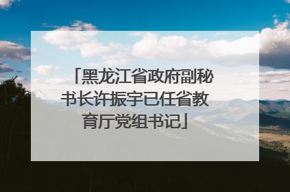 黑龙江省政府副秘书长许振宇已任省教育厅党组书记