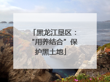黑龙江垦区：“用养结合”保护黑土地