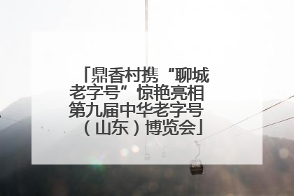 鼎香村携“聊城老字号”惊艳亮相第九届中华老字号（山东）博览会