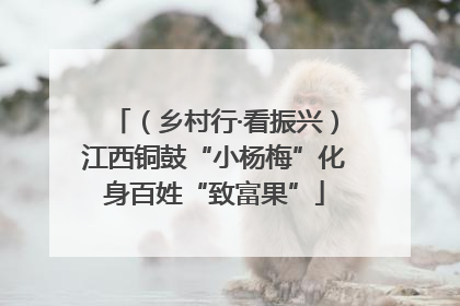 （乡村行·看振兴）江西铜鼓“小杨梅”化身百姓“致富果”