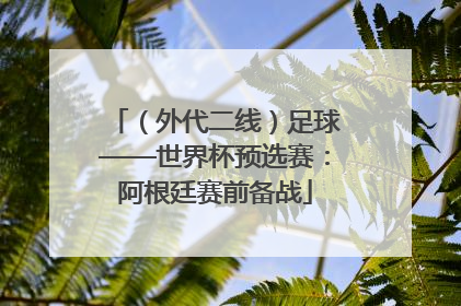 （外代二线）足球——世界杯预选赛：阿根廷赛前备战