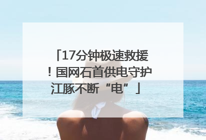 17分钟极速救援！国网石首供电守护江豚不断“电”