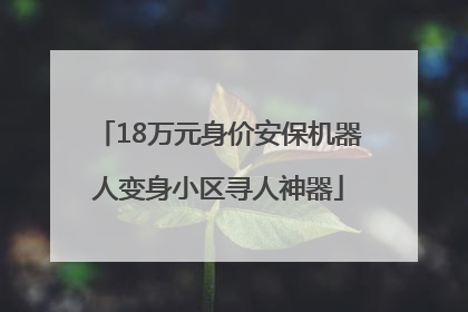 18万元身价安保机器人变身小区寻人神器