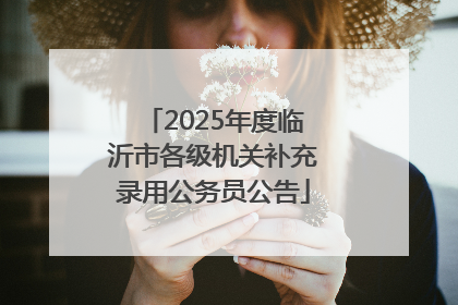 2025年度临沂市各级机关补充录用公务员公告