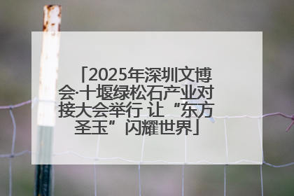 2025年深圳文博会·十堰绿松石产业对接大会举行 让“东方圣玉”闪耀世界