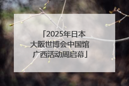 2025年日本大阪世博会中国馆广西活动周启幕