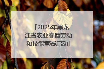 2025年黑龙江省农业春播劳动和技能竞赛启动