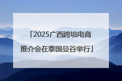 2025广西跨境电商推介会在泰国曼谷举行