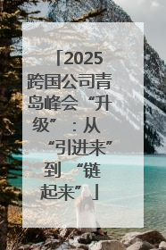 2025跨国公司青岛峰会“升级”：从 “引进来” 到 “链起来”