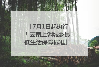7月1日起执行！云南上调城乡最低生活保障标准