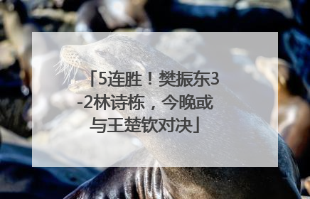 5连胜！樊振东3-2林诗栋，今晚或与王楚钦对决