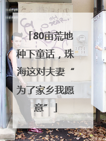 80亩荒地种下童话，珠海这对夫妻“为了家乡我愿意”