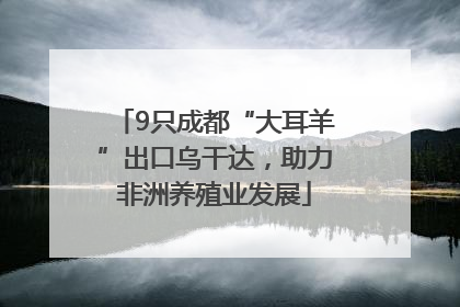 9只成都“大耳羊”出口乌干达，助力非洲养殖业发展