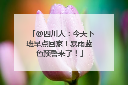 @四川人：今天下班早点回家！暴雨蓝色预警来了！