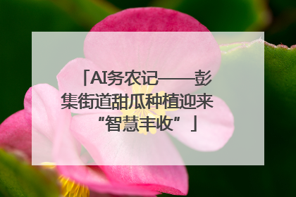 AI务农记——彭集街道甜瓜种植迎来“智慧丰收”