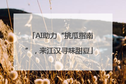 AI助力“挑瓜指南”，来江汉寻味甜夏