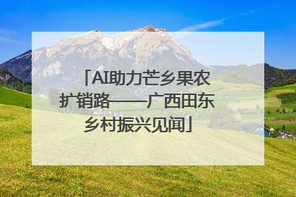 AI助力芒乡果农扩销路——广西田东乡村振兴见闻