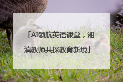 AI领航英语课堂，湘滇教师共探教育新境