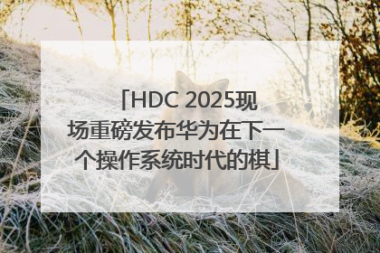 HDC 2025现场重磅发布华为在下一个操作系统时代的棋