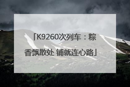 K9260次列车：粽香飘散处 铺就连心路