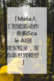 Meta人工智能新动作：收购Scale AI创建实验室，发布新世界模型